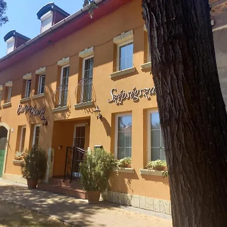 Europa Panzio 3*
