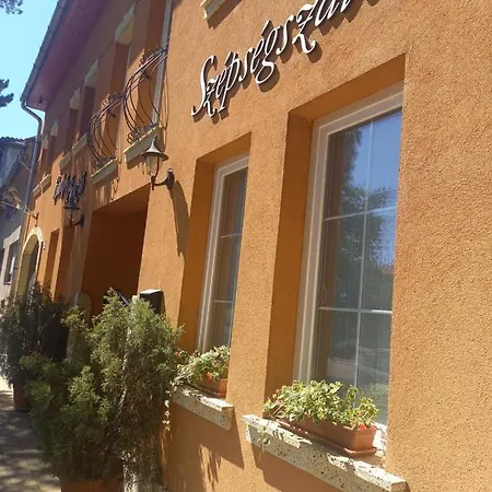 Nocleg ze śniadaniem Europa Panzio 3*
